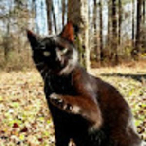 Meet your Posher, Carley